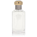 Dreamer by Versace