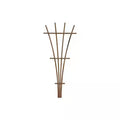 Fan Trellis