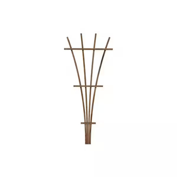 Fan Trellis