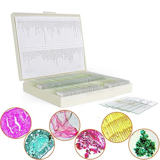100 Microscope Slides with Specimens for Kids